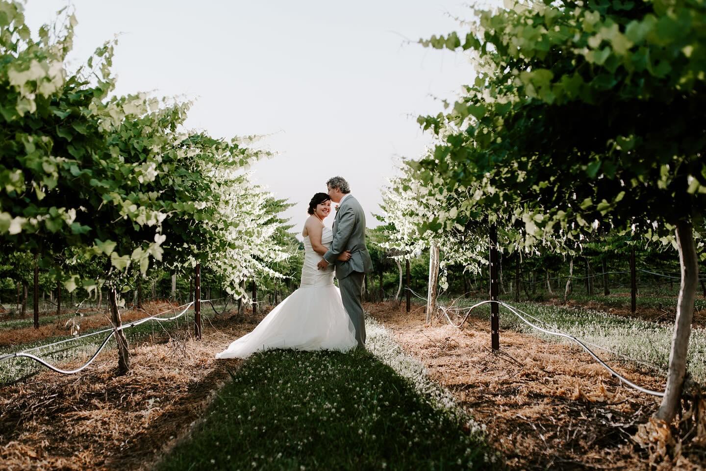 A Memorable Wedding Experience at Uwharrie Vinyards, Albemarle NC