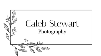 contact-form-logo