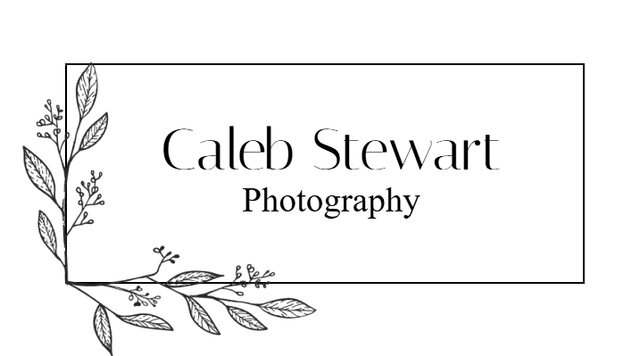 footer-logo