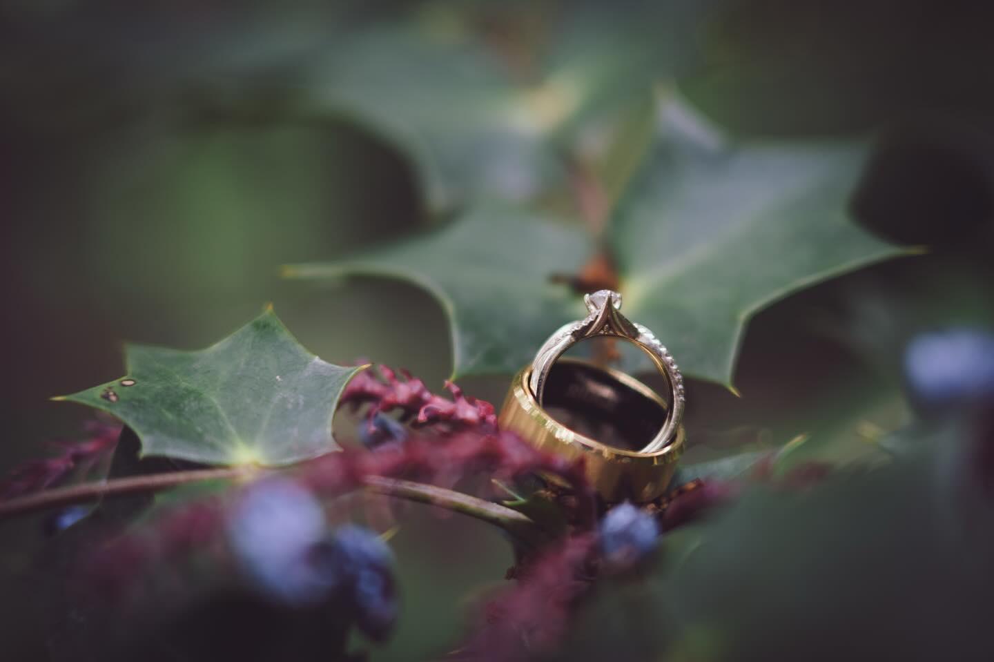 The Joy of Capturing Wedding Memories: A Day in the Life of a Professional Photographer