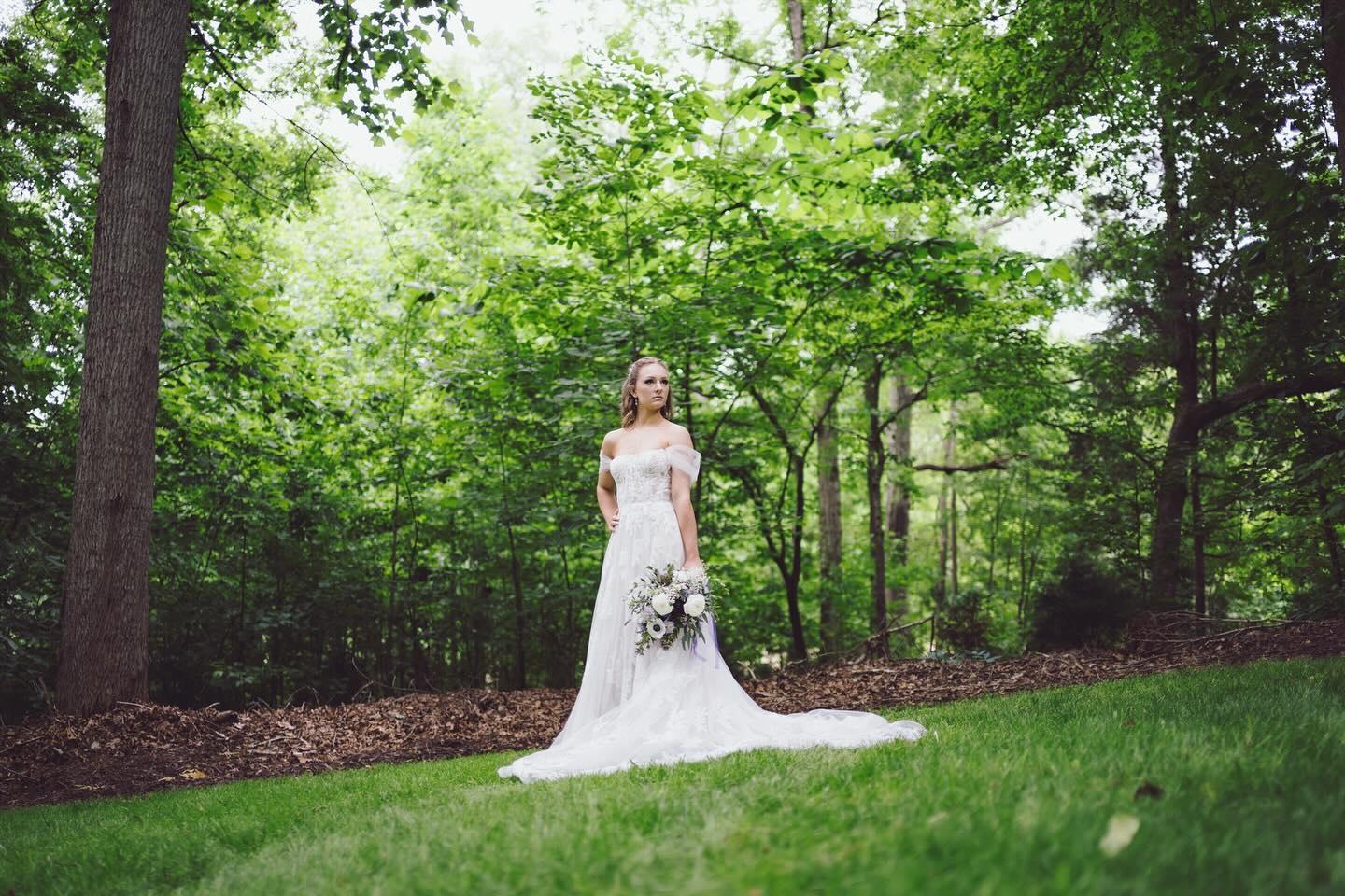 The Joy of Capturing Wedding Memories: A Day in the Life of a Professional Photographer